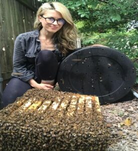 bee removal